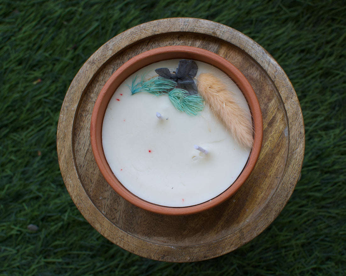 Art on Wax: Plays with Vegetable Wax